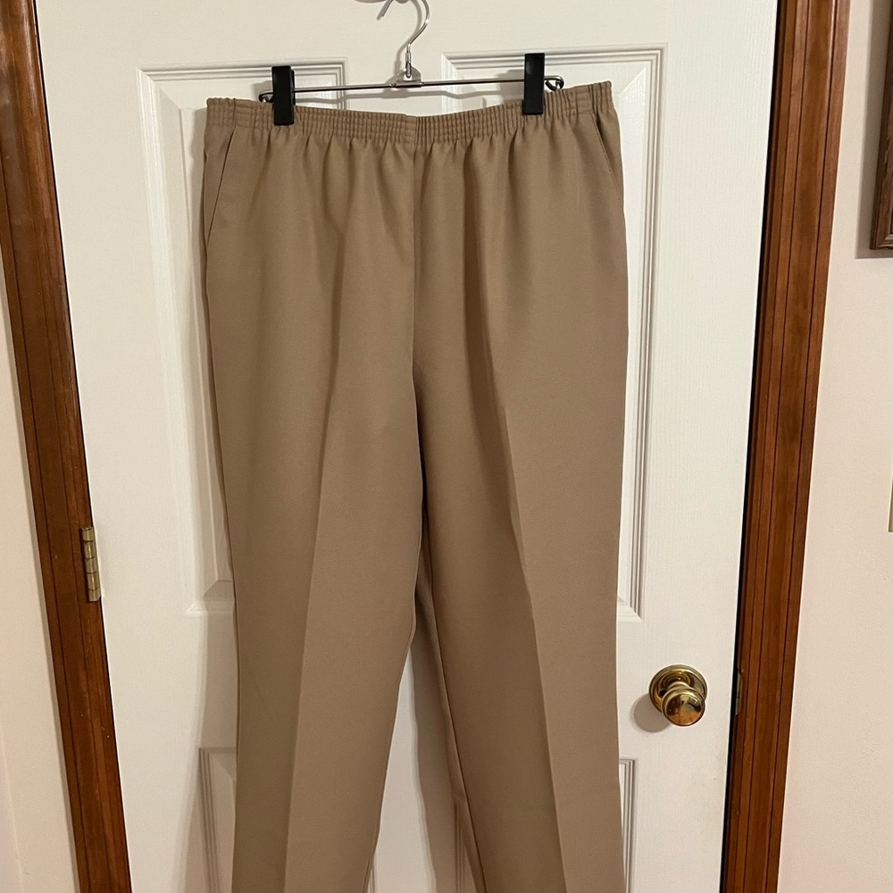 Alfred Dunner classic pant.